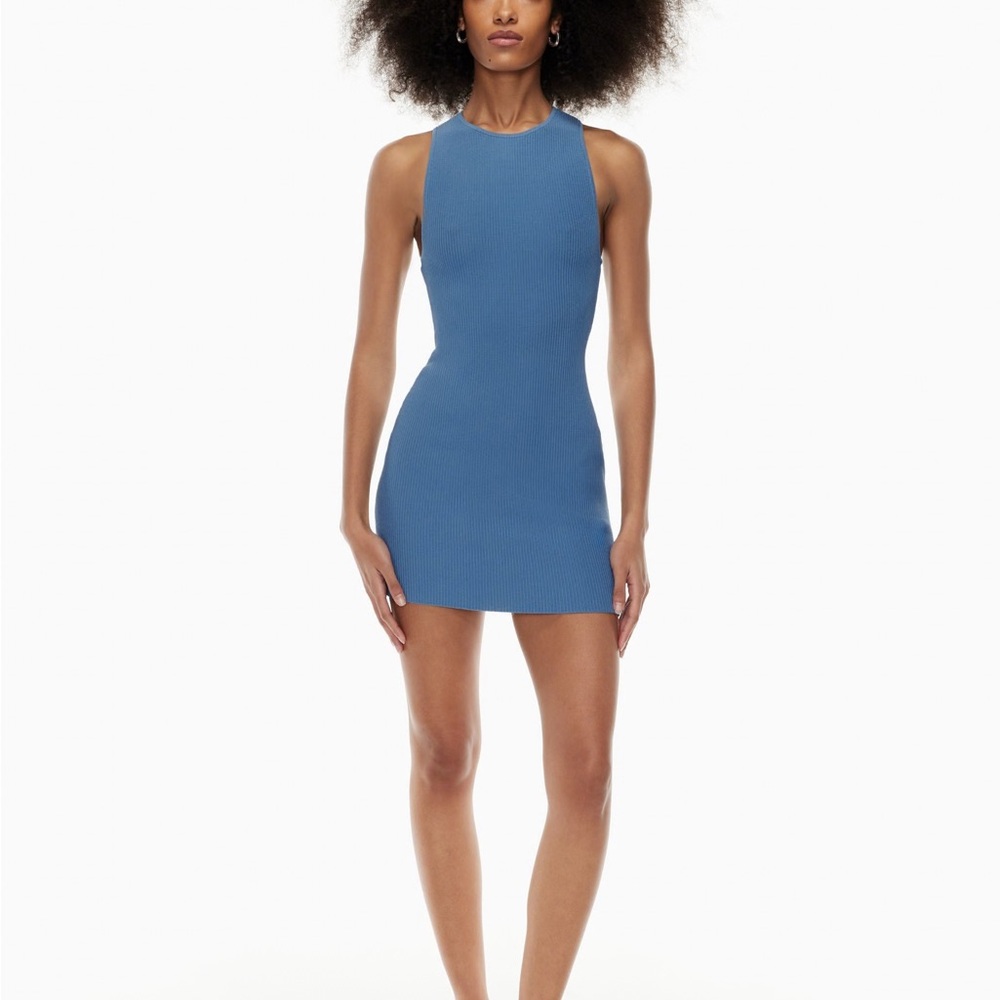 Babaton Aritzia Sculpt Knit Racer Mini Dress - S